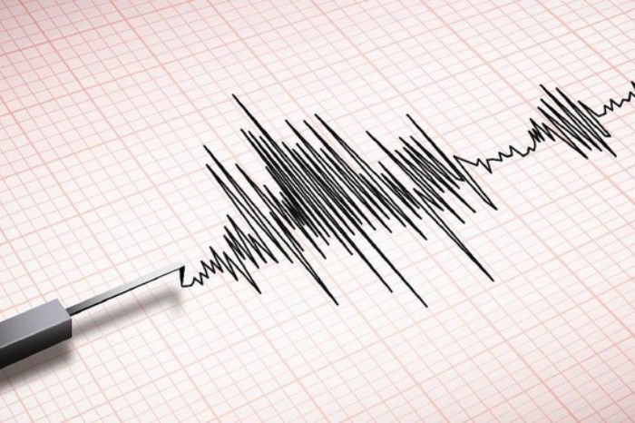 Magnitude 6.5 Earthquake Strikes Nabire Central Papua, BMKG Confirms No Tsunami Risk