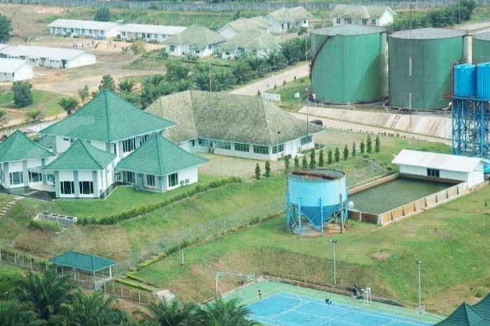 GZCO Shares Surge Amid Happy Hapsoro and B50 Sentiment